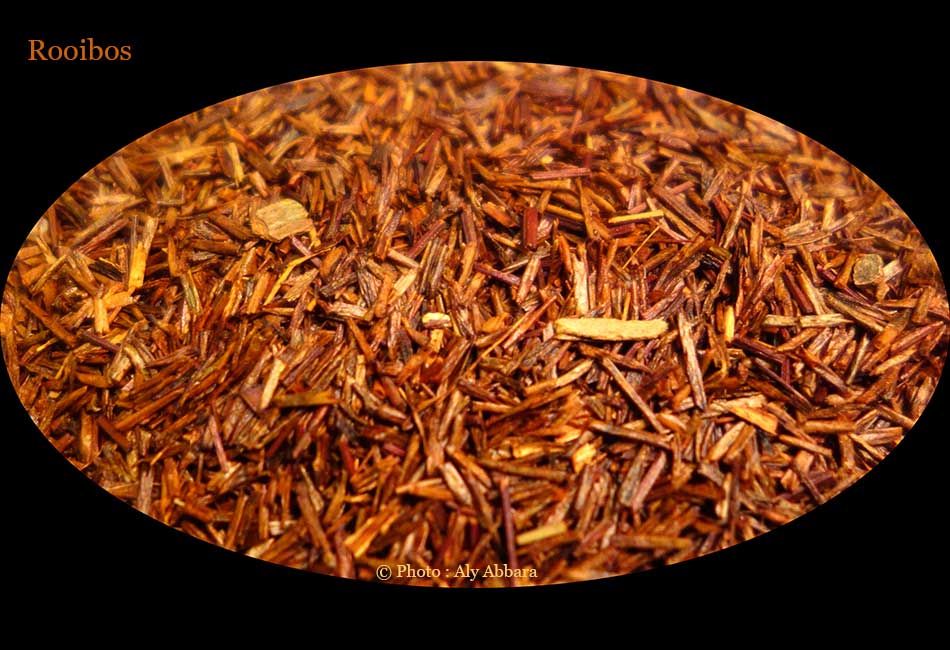 Rooibos : Thé rouge