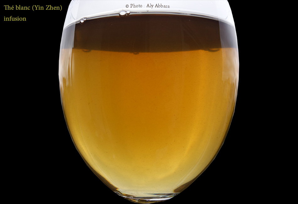 Thé blanc (Yin Zhen)