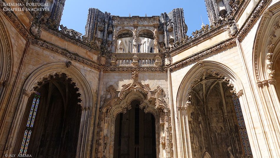 Chêne-liège - Quercus suber