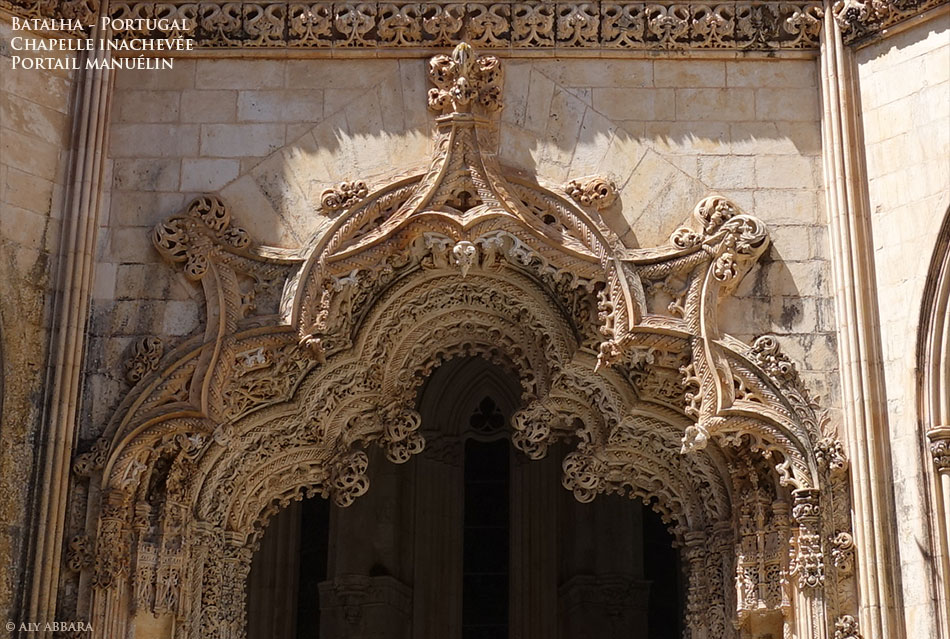 Chêne-liège - Quercus suber