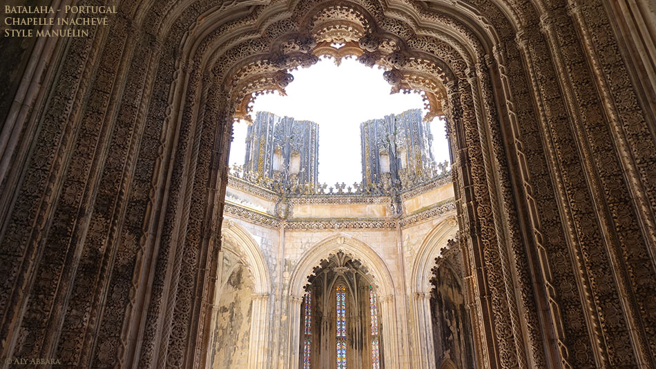 Chêne-liège - Quercus suber