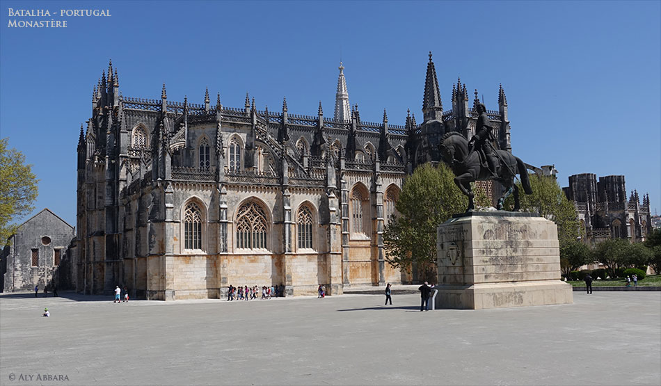 Chêne-liège - Quercus suber