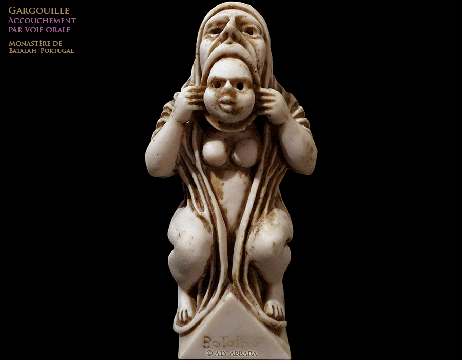 Chêne-liège - Quercus suber