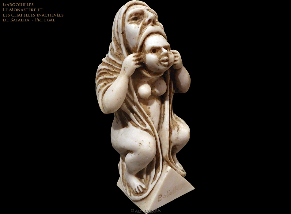 Chêne-liège - Quercus suber