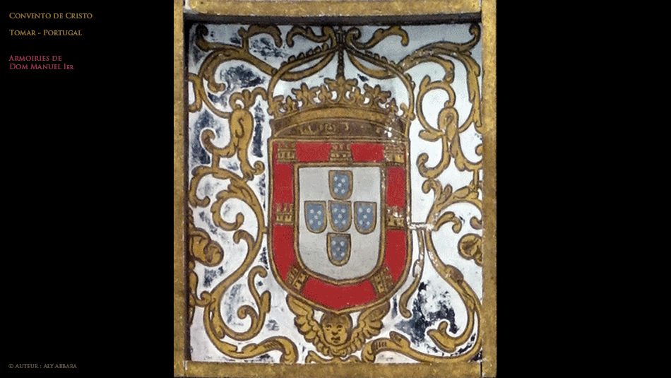 Chêne-liège - Quercus suber