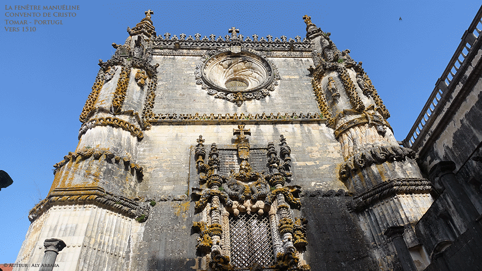 Chêne-liège - Quercus suber