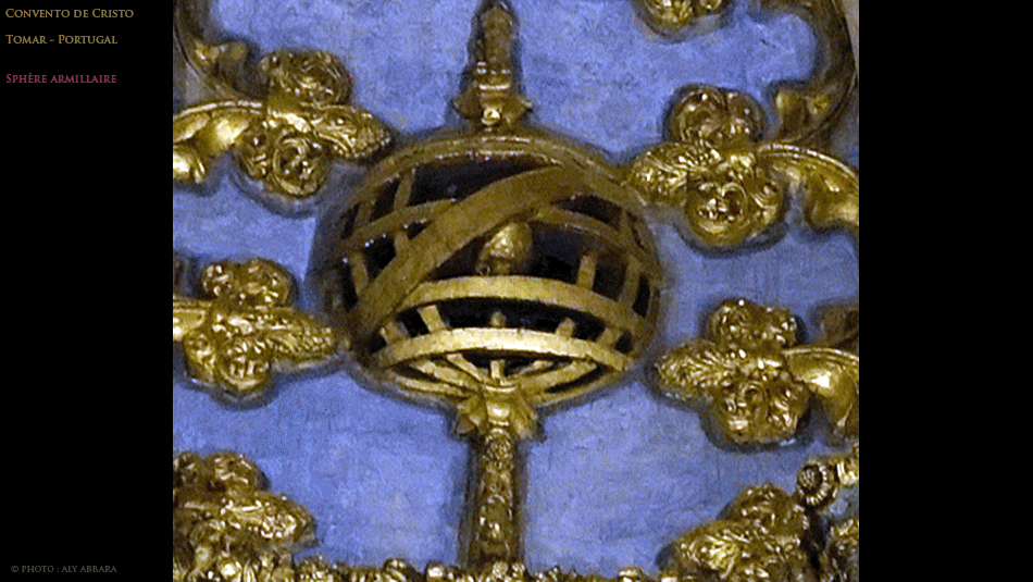 Chêne-liège - Quercus suber