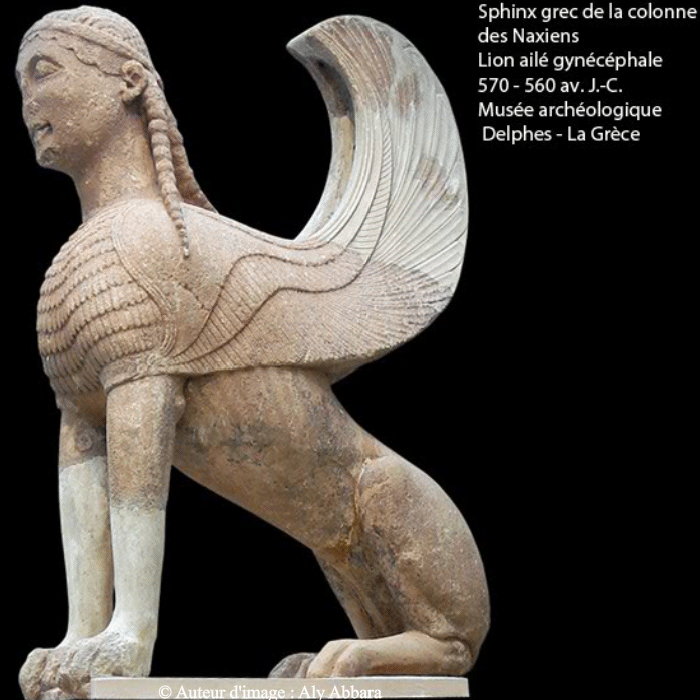 Grèce - Delphes - sphinx grec (lion ailé à tête de femme ou lion ailé gynocéphale)  - Sphinx grec de la colonne des Naxiens - Statue votive en marbre - 570 - 560 av. J.-C. 