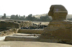 Sphinx de Chéfren - Pattes de devant et stéle - Guiza