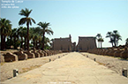 Temple de Luxor - Allée des sphinx