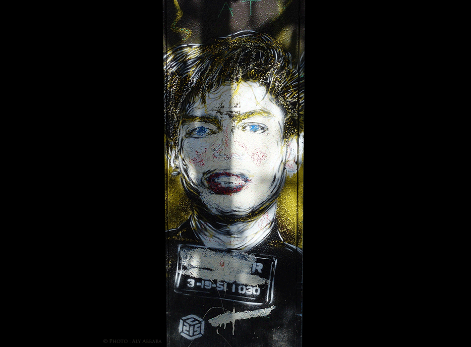 Art mural - Rues de Paris - Sans titre - Œuvre signée par C215 (pseudonyme de l'artiste Christian Guémy)