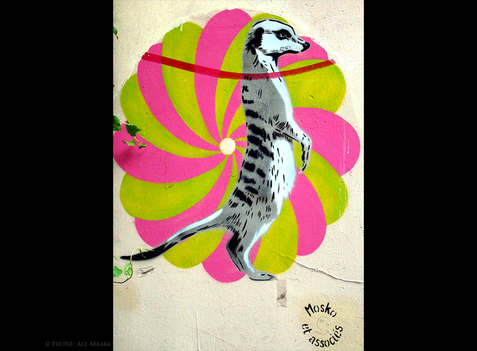 Paris Art urbain mural - Oeuvre signée Mosko - Suricate