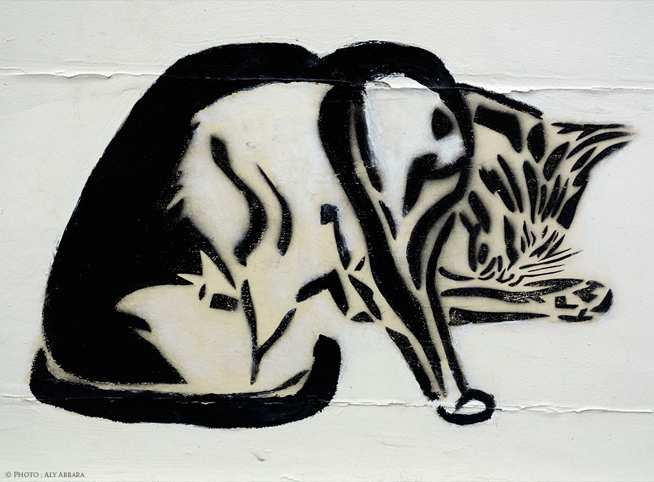 Paris - Art urbain mural - Oeuvre non signée - Chat se léchant la patte