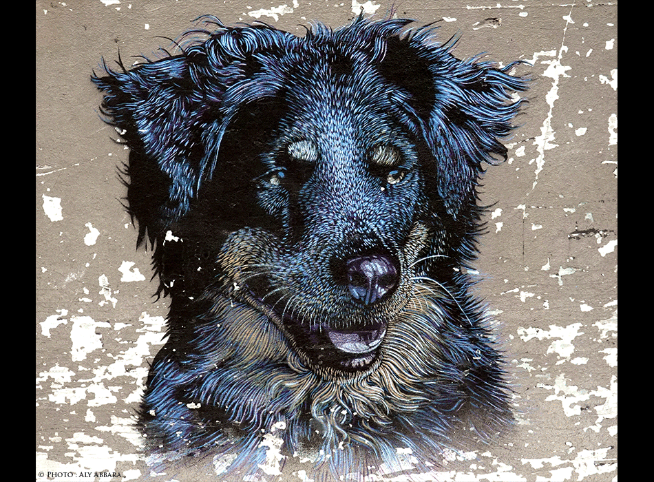 Paris - Art urbain mural - Oeuvre non signée - Buste d'un chien
