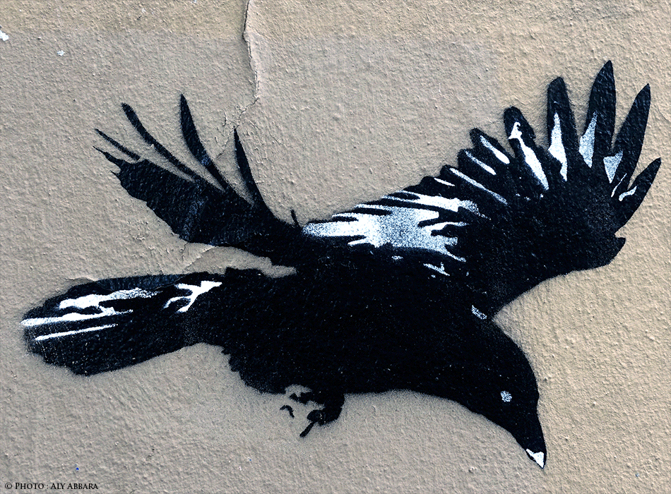 Paris - Art urbain mural - Oeuvre non signée - Corbeau