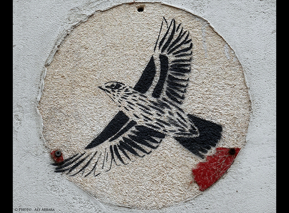 Paris - Art urbain mural - Oeuvre non signée - Oiseau en vol