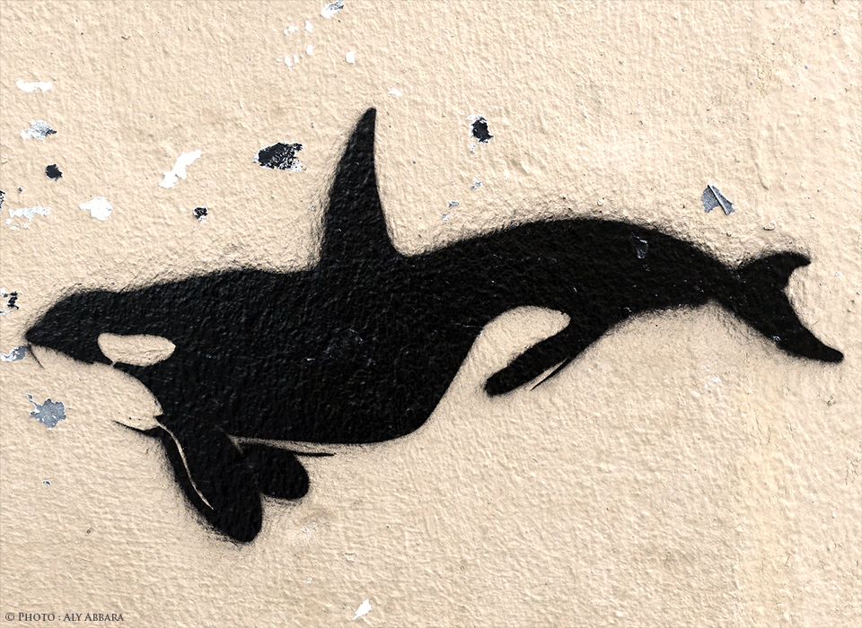 Paris - Art urbain mural - Oeuvre non signée - Orque