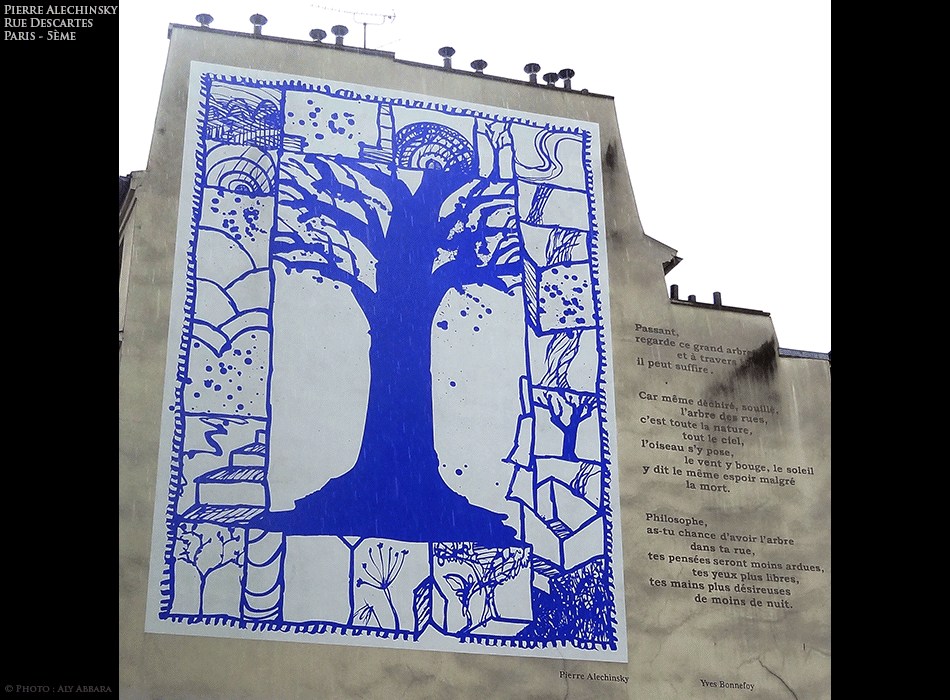 Paris - Art urbain mural - L'arbre de la rue Descartes - Paris 5° arrondissement