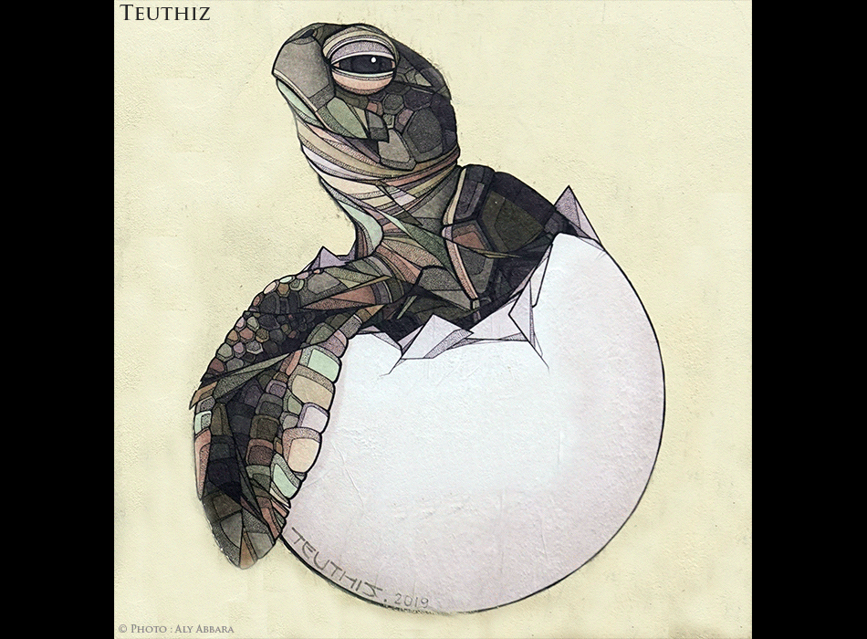 Paris - Art urbain mural - Oeuvre signée Teuthiz - Tortue sortant de l’œuf après l'éclosion