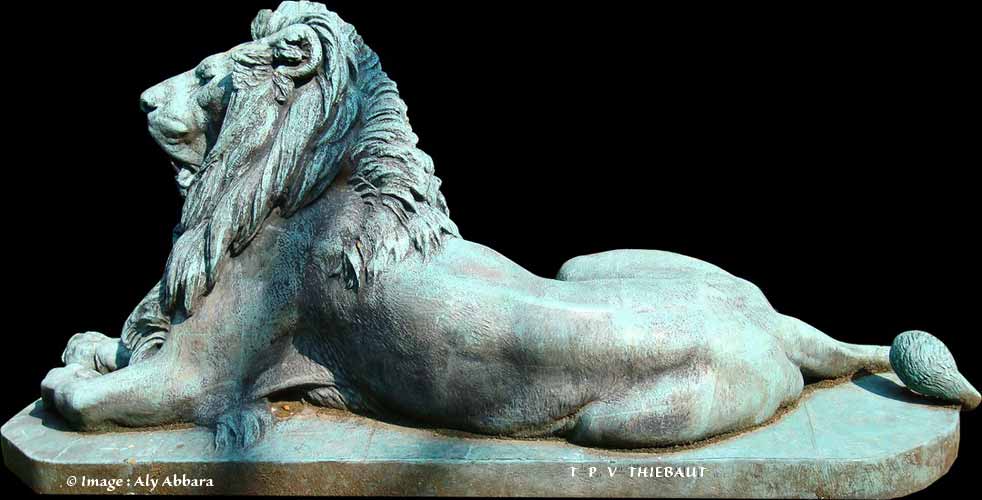 Lion observateur de T. P . V. Thiebaut