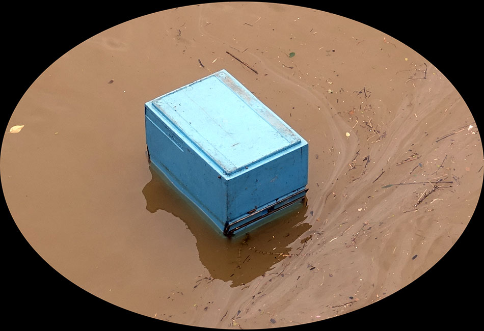 Paris : Crue de la Seine - Objets et matériaux flottants - 03 juin 2016