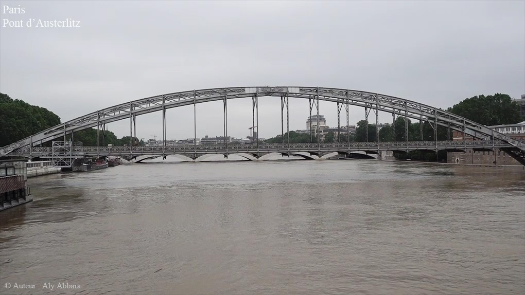 Paris : vue sur la Seine montrant le Pont d'Austerlitz - Crue de la Seine le 03 juin 2016