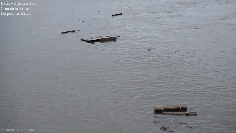 Paris : Crue de la Seine - Du Pont de Bercy - 03 juin 2016