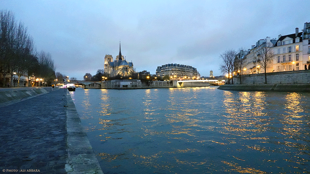 Paris nocturne : Cathérale de Notre-Dame de Paris - 12 janvier 2019