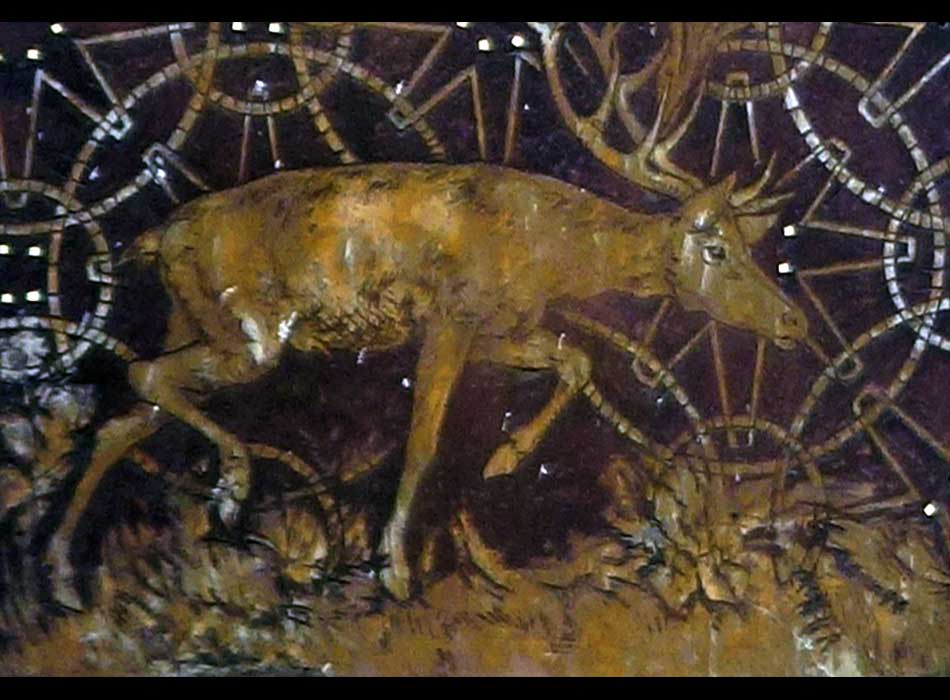 Paris - Arts de la rue - Une Façade dans la rue Moufftard - une biche - الفن في الشارع الباريسي