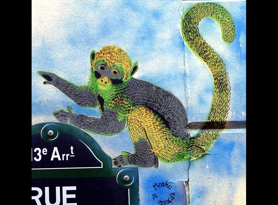Paris - Arts de la rue - Jeune macaque à Paris - الفن في الشارع الباريسي