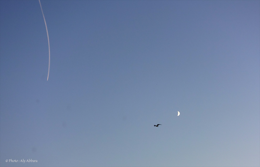 Le coucher du soleil - 2015 - août - 21 - Paris - France - غروب الشمس ـ باريس