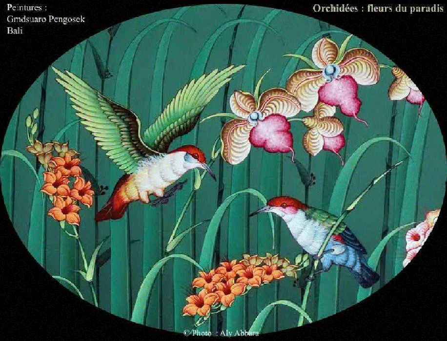 Les orchidées : Fleurs du Paradis - Peintures : Gmdsuaro Pengosek (Bali - Indonésie)