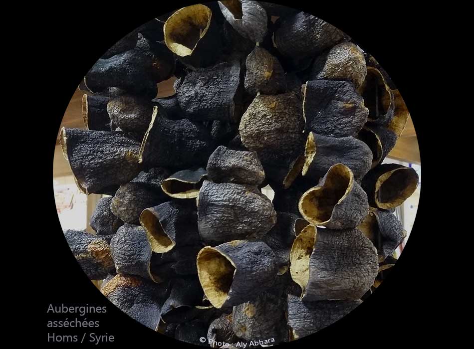 Des aubergines asséchées : باذنجان مُيَبَس