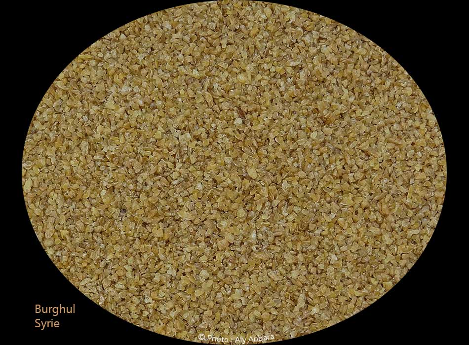 Burghul - blé concassé semi-cuit et asséché  :  البَرْغُل
