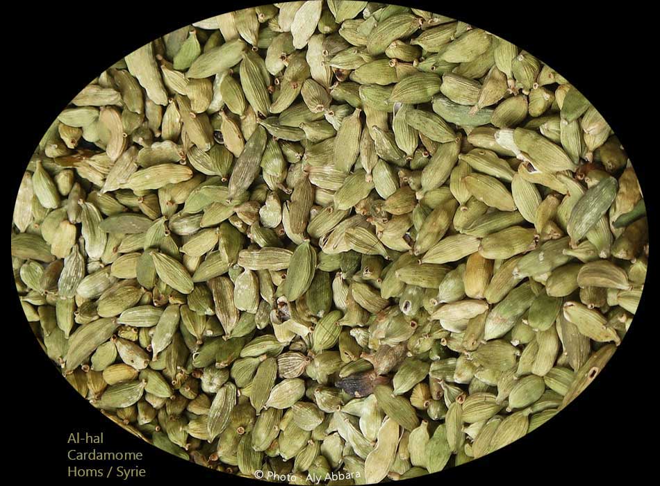 Graines de cardamome :   حَبُّ الهال (الهيل)