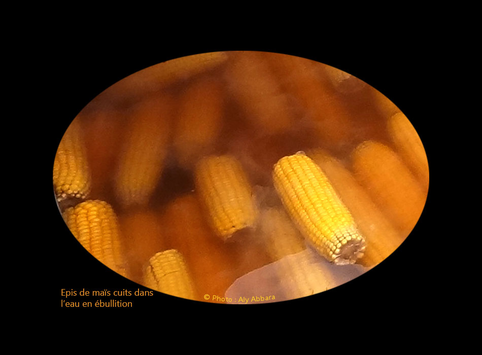 Épis de maïs cuits dans l'eau en ébullition - عَرانيس الذُرَة المَسْلوقة