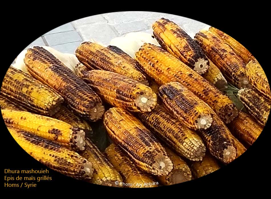 Épis de maïs grillés à la braise - عَرانيس الذُرَة المشوية فوق جَمْر الحَطَب