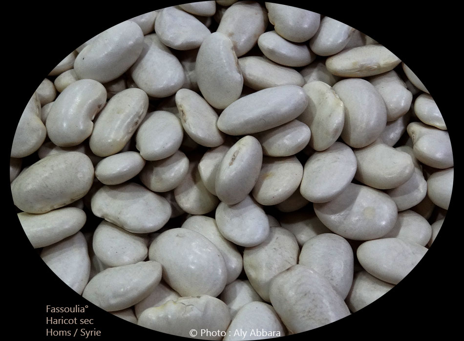 Haricots secs : fassoulia Hab - فاصوليا حَب