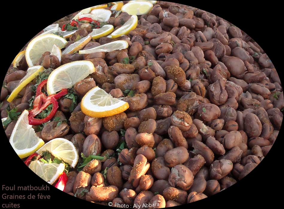 Syrie : Fève large (foul) crue -  فول عريض نيئ