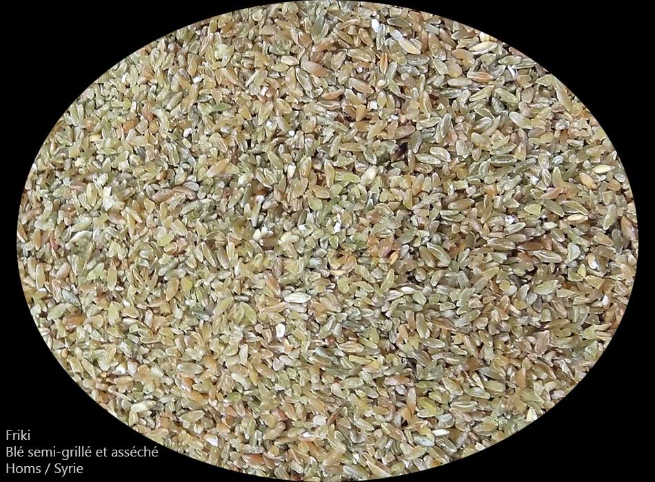 Friki - blé vert semi-grillé et asséché  :  الفَريكَة