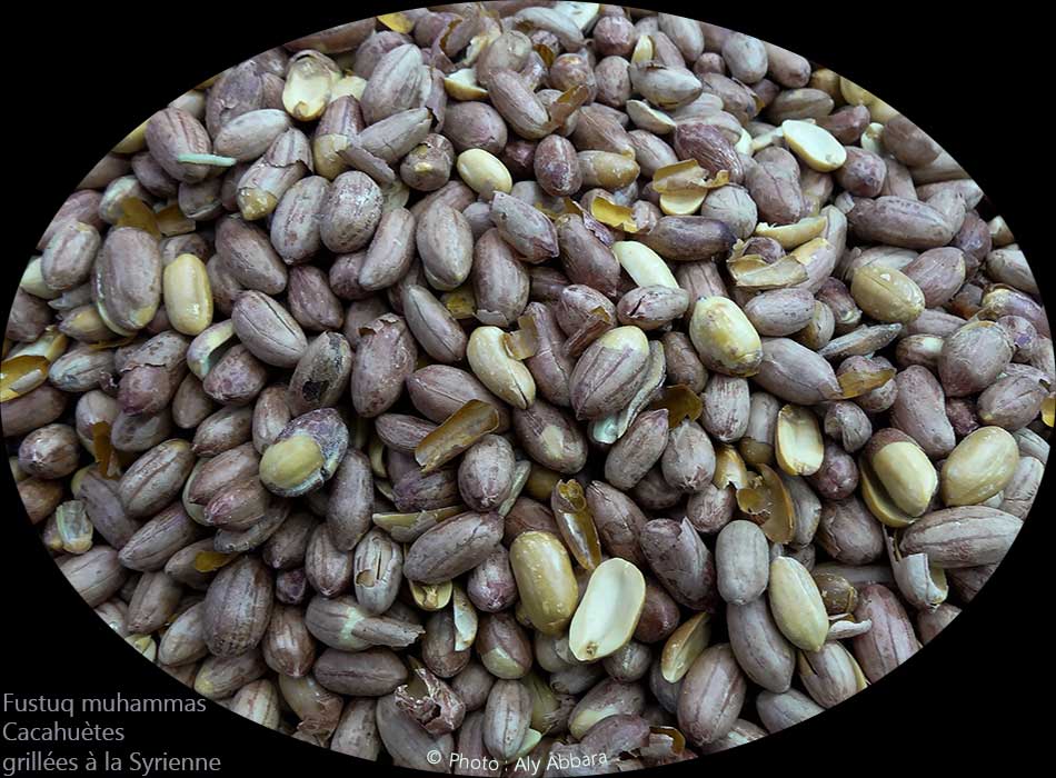 Gaines de cacahuète grillées à la syrienne -  حب الفستق المُحَمَّص