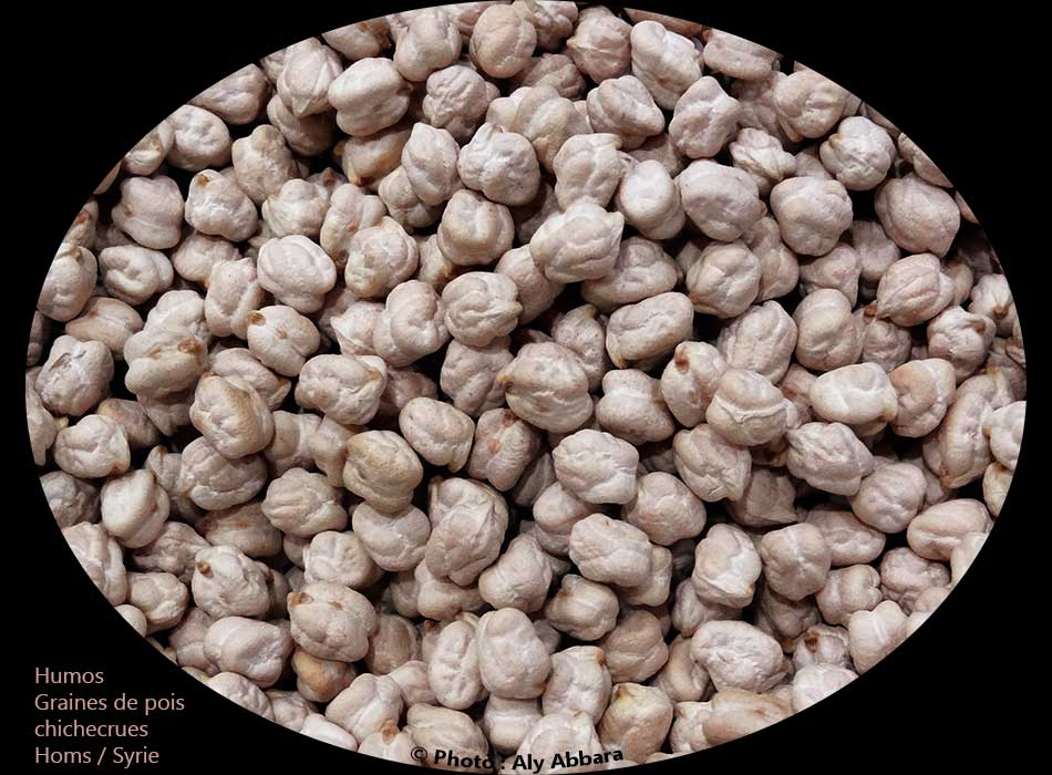 Pois chiche sec (graines) : حب الحمص الجاف 