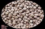Pois chiche sec (graines) : حب الحمص الجاف