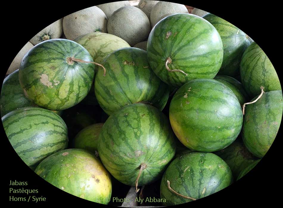 Pastèques : جّبّس ـ بَطيخ 