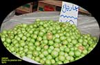 Prunes   verts immatures : Jarinek - جارينك أو خوخ أخضر