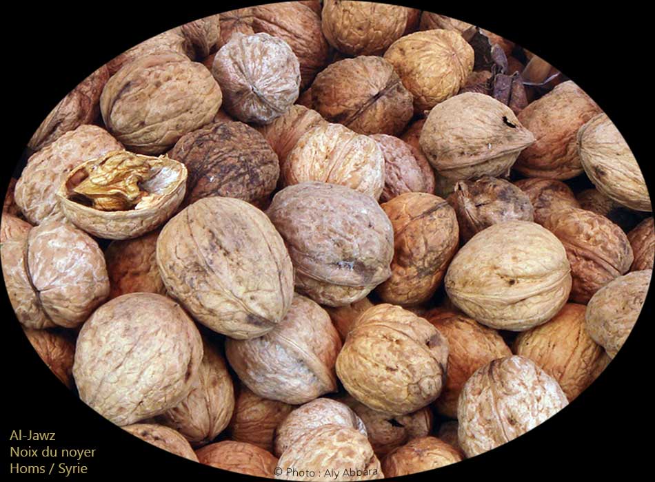 Noix (fruits de noyer) : الجَوْز