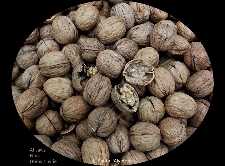 Noix (fruits de noyer) : الجَوْز