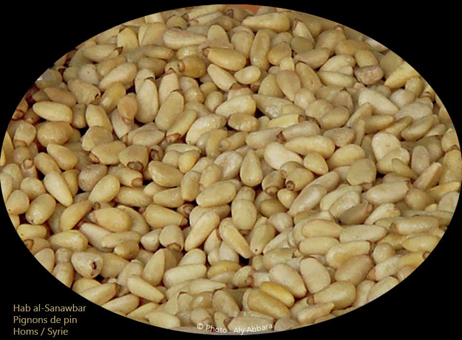 Nèfles : akadinia - أكادينيا (زعرور بستاني ـ زعرور جِرماني)