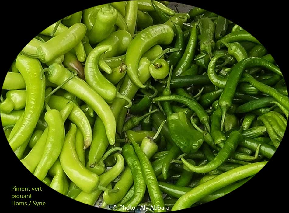 Piments verts piquants : فليفلة خضراء حَرَّة ـ لاذعة ـ حِرِّيفة