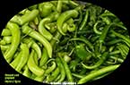 Piments verts piquants : فليفلة خضراء حَرَّة ـ لاذعة ـ حِرِّيفة